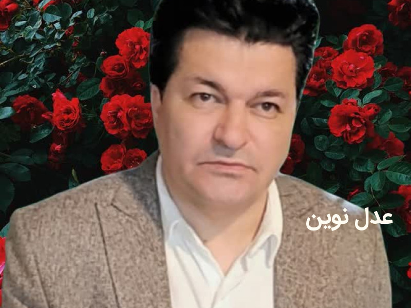 اصول حاکم بر نگارش قراردادهای بین المللی دکتر حسام رحیمی